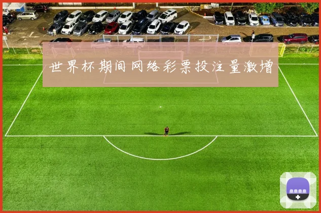 世界杯期间网络彩票投注量激增