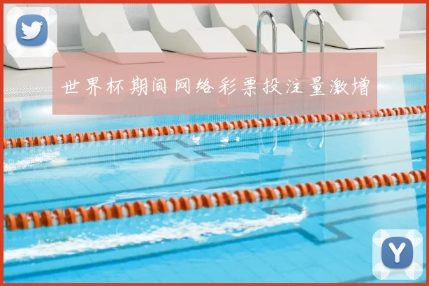 世界杯期间网络彩票投注量激增