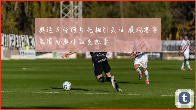 奥运五环照片亮相引关注 展现赛事氛围与奥林匹克元素