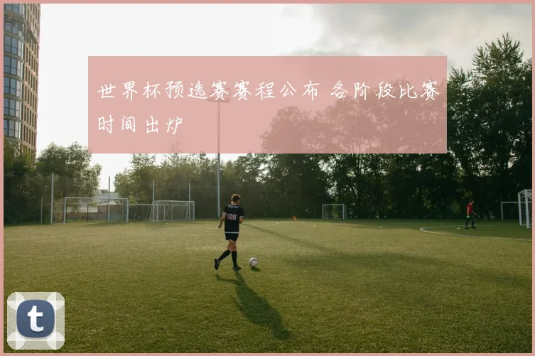 世界杯预选赛赛程公布 各阶段比赛时间出炉