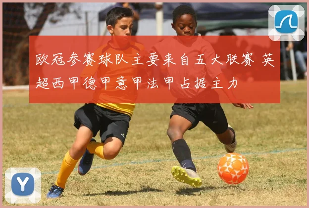 欧冠参赛球队主要来自五大联赛 英超西甲德甲意甲法甲占据主力